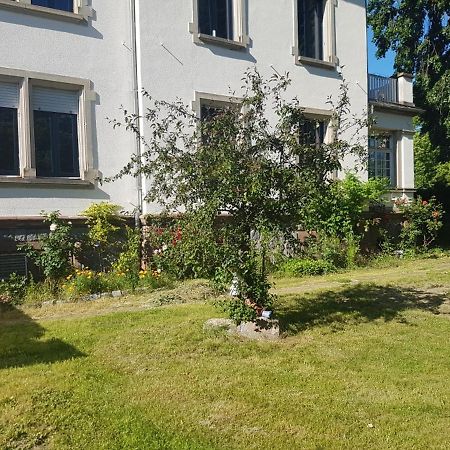 Apartamento Atelier Art Decho Munster  Exterior foto