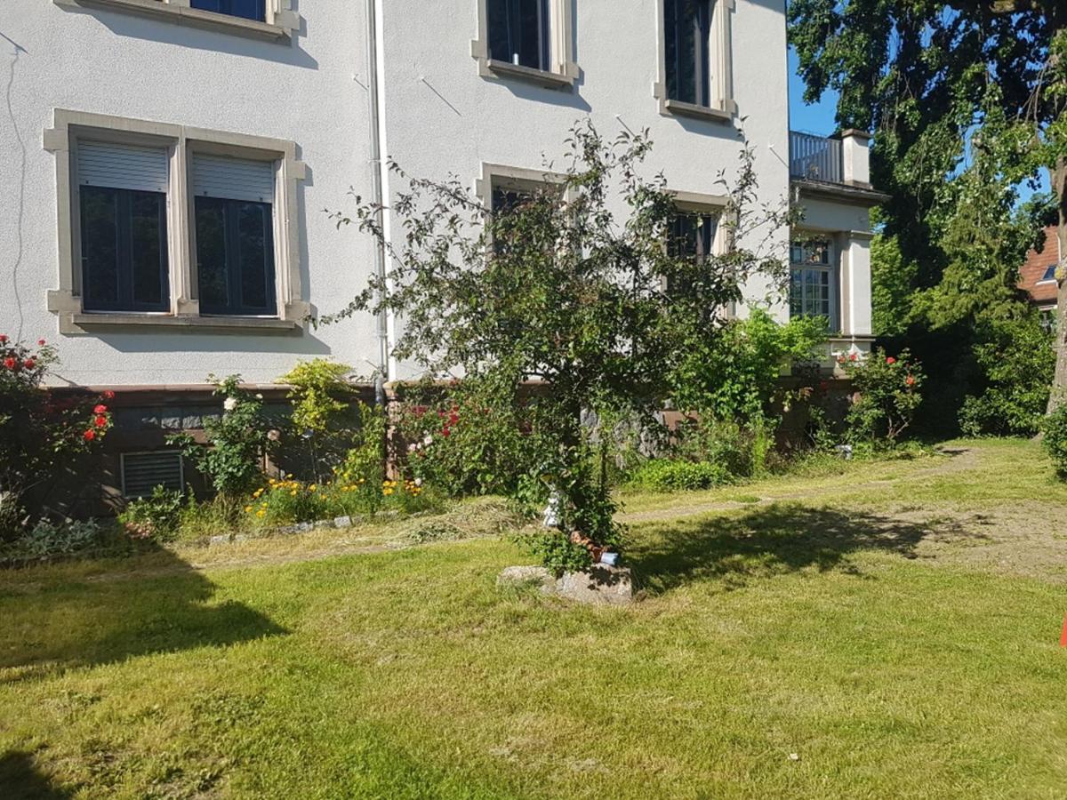 Apartamento Atelier Art Decho Munster  Exterior foto